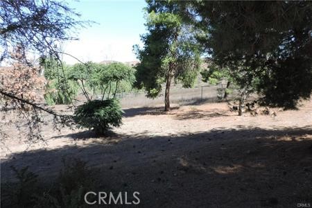 42600 San Ignacio Road Hemet, CA 92544 - Photo 5 of 22 a view of yard with trees