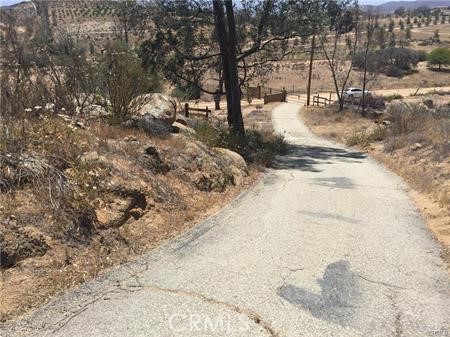 42600 San Ignacio Road Hemet, CA 92544 - Photo 8 of 22 a view of a yard with large trees