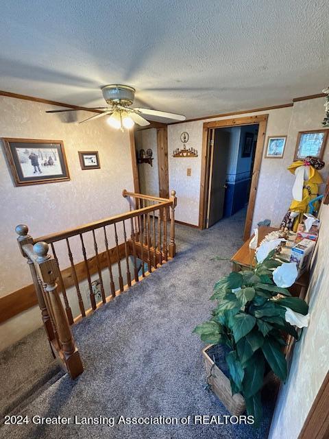 3375 East Wilson Road Ashley, MI 48806 - Photo 20 of 30 IMG_1191