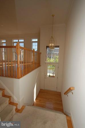 25872 Commons Square Chantilly, VA 20152 - Photo 15 of 19 Interior (General)