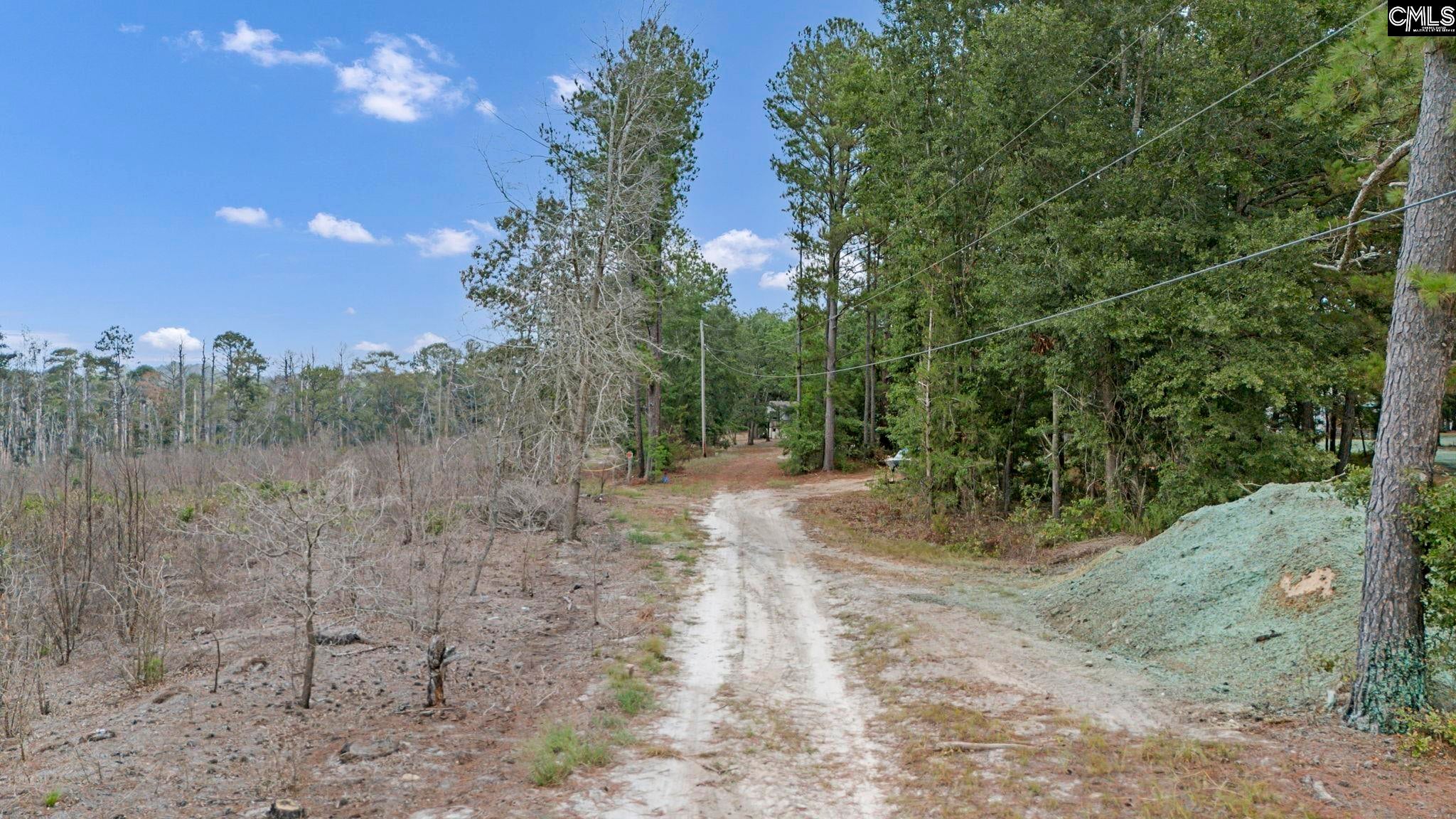 5814 Fairview Road Batesburg, SC 29006 - Photo 6 of 18 Gallery Image 6