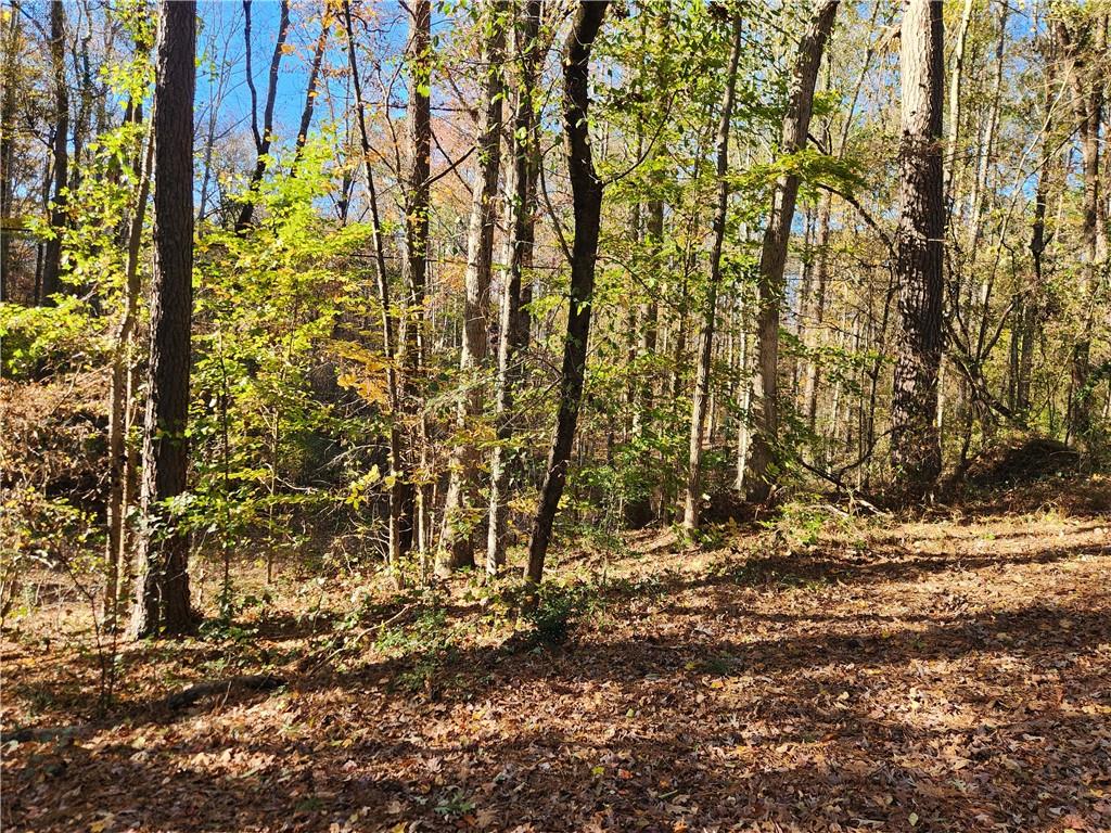 2633 Brannan Road Southwest Snellville, GA 30039 - Photo 12 of 20 a view of outdoor space