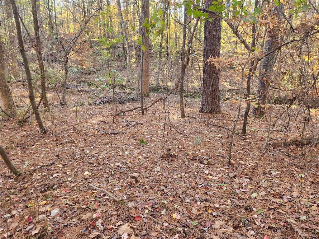 2633 Brannan Road Southwest Snellville, GA 30039 - Photo 13 of 20 a view of a forest with trees