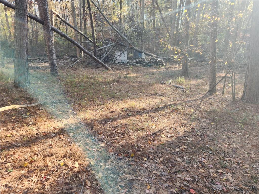 2633 Brannan Road Southwest Snellville, GA 30039 - Photo 14 of 20 a view of a yard with a tree