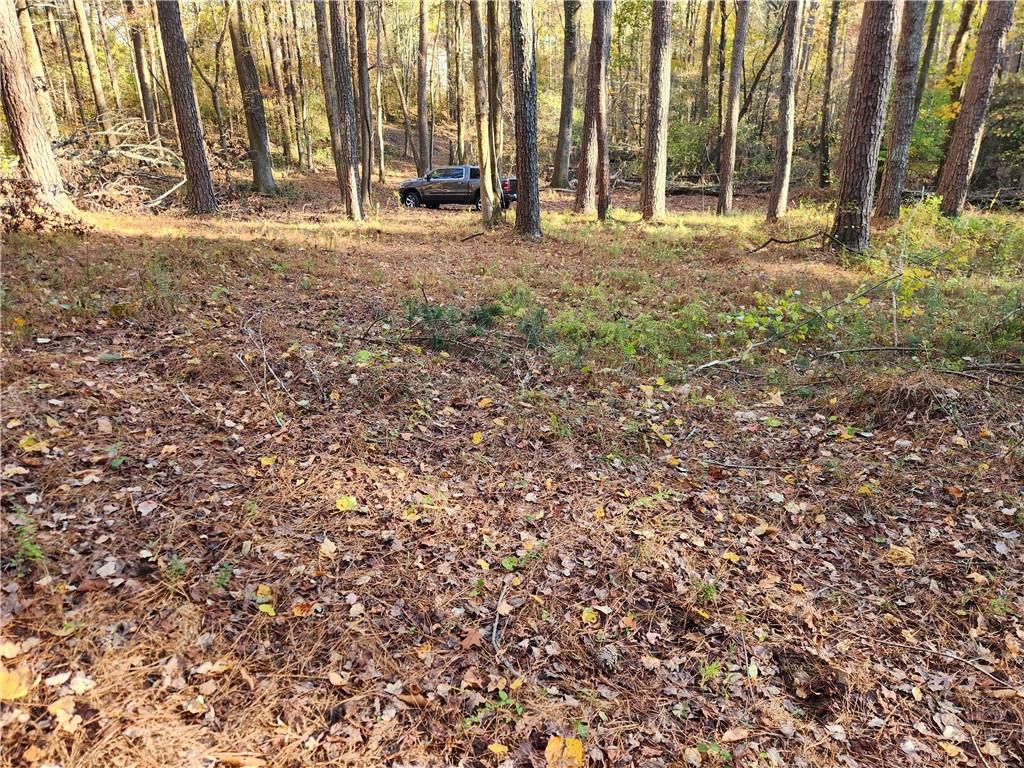 2633 Brannan Road Southwest Snellville, GA 30039 - Photo 15 of 20 a view of outdoor space with trees