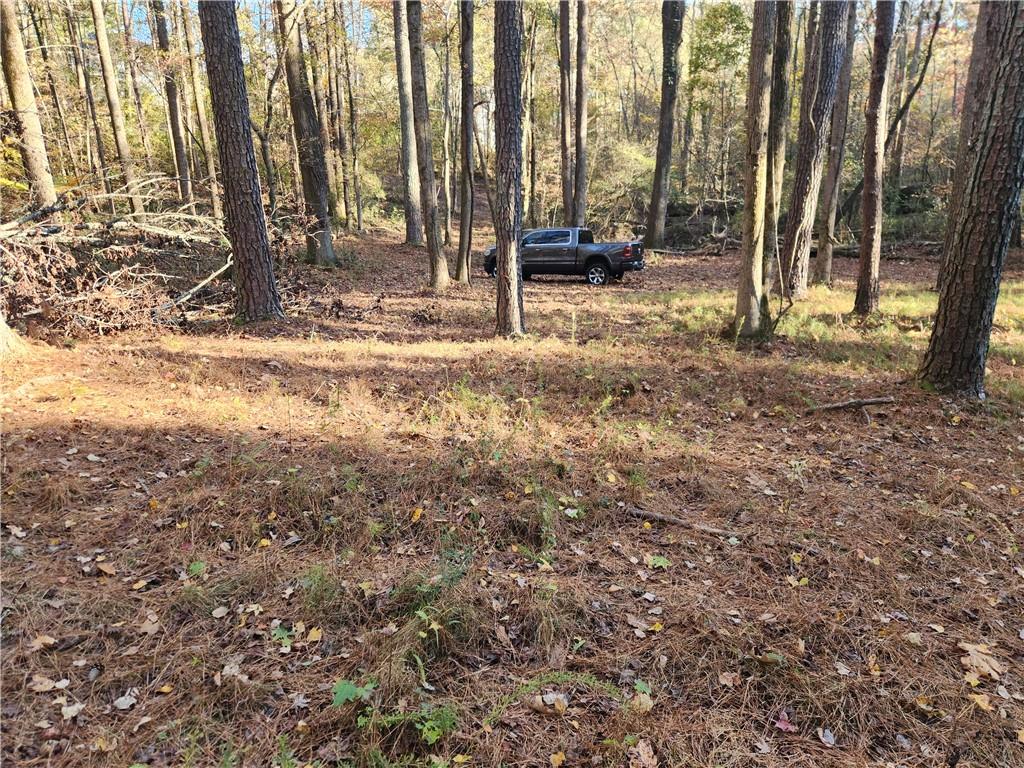 2633 Brannan Road Southwest Snellville, GA 30039 - Photo 16 of 20 a view of yard with tree