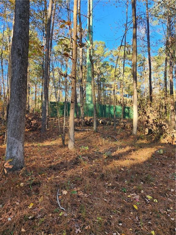 2633 Brannan Road Southwest Snellville, GA 30039 - Photo 17 of 20 a view of a yard with plants and trees