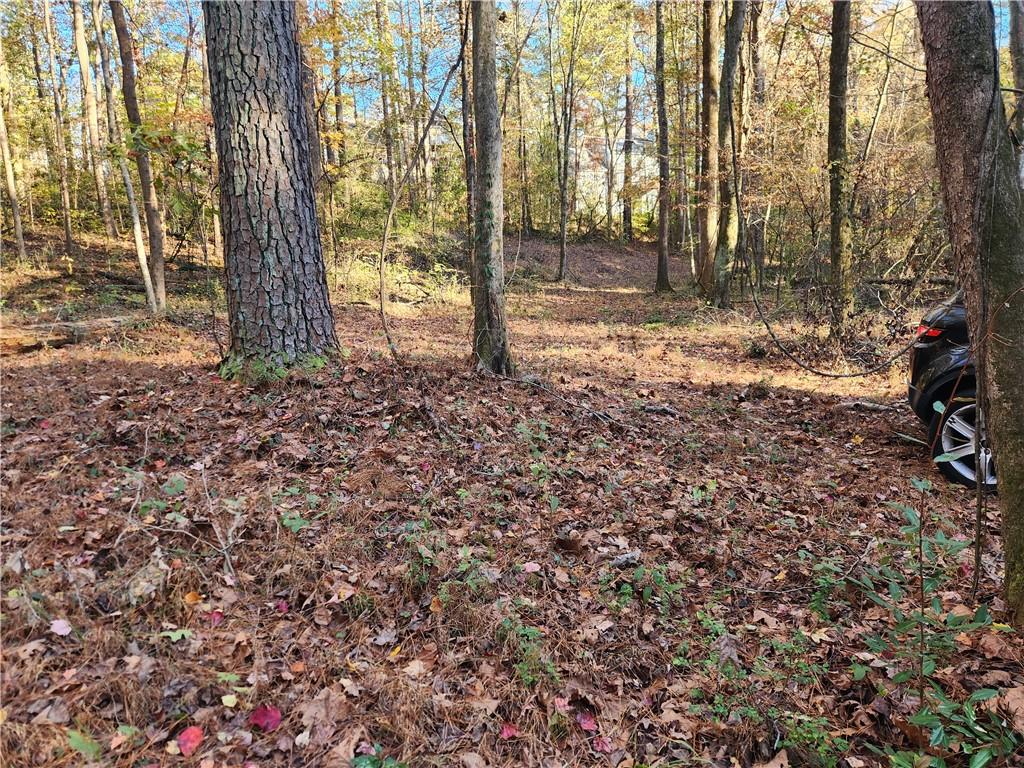 2633 Brannan Road Southwest Snellville, GA 30039 - Photo 18 of 20 a view of a yard with trees