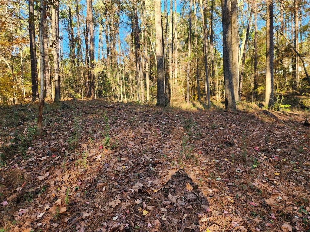 2633 Brannan Road Southwest Snellville, GA 30039 - Photo 19 of 20 a view of outdoor space with deck and trees