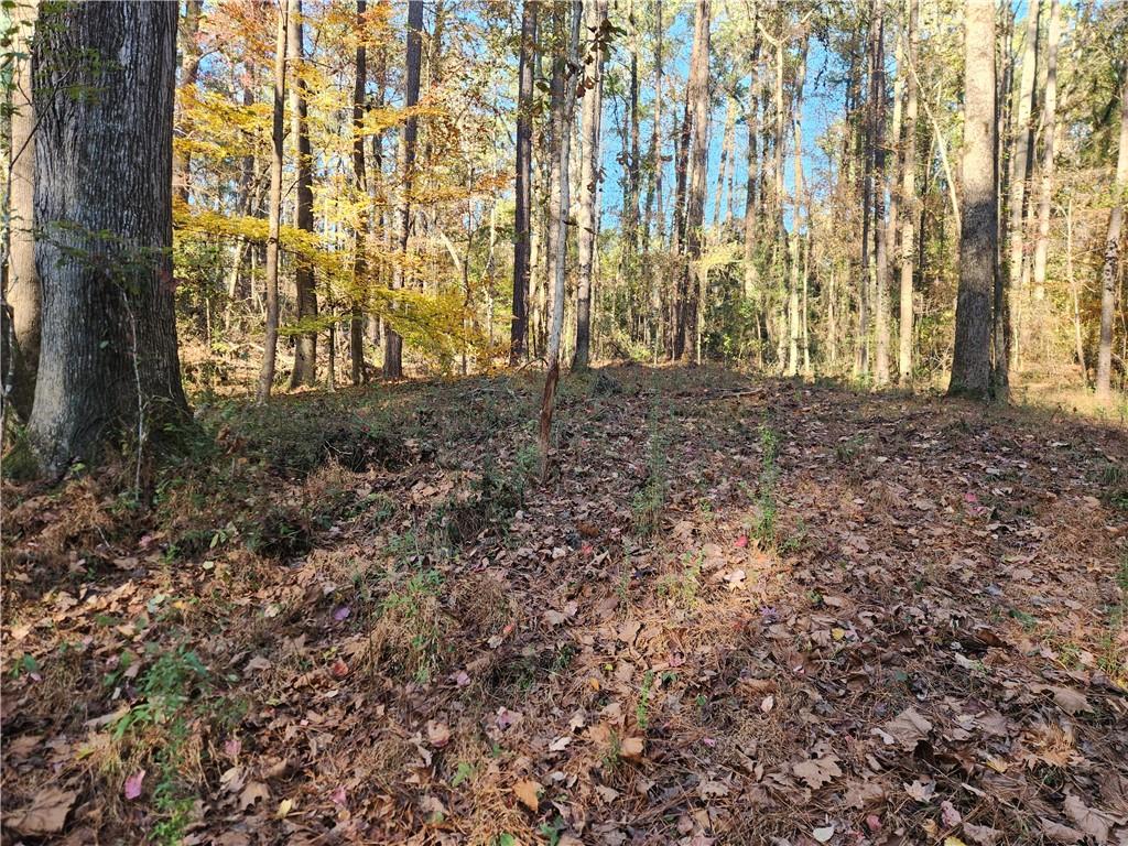 2633 Brannan Road Southwest Snellville, GA 30039 - Photo 20 of 20 a view of outdoor space with deck and tree