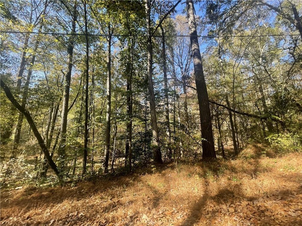 2633 Brannan Road Southwest Snellville, GA 30039 - Photo 3 of 20 a view of outdoor space and a yard