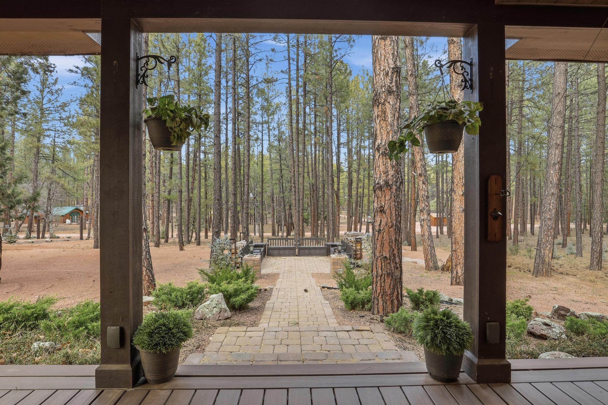 347 Pumphouse Road Payson, AZ 85541 - Photo 4 of 41