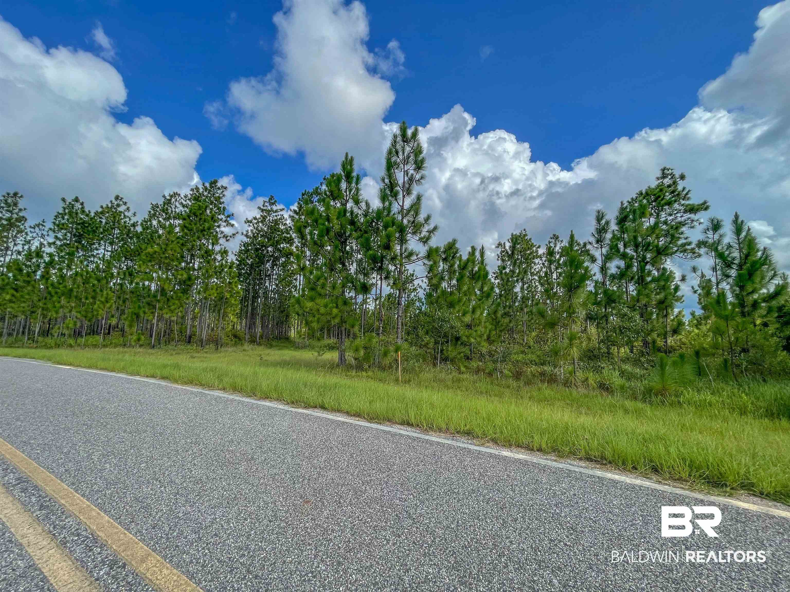 0 Robert White Road Perdido, AL 36562 - Photo 4 of 6