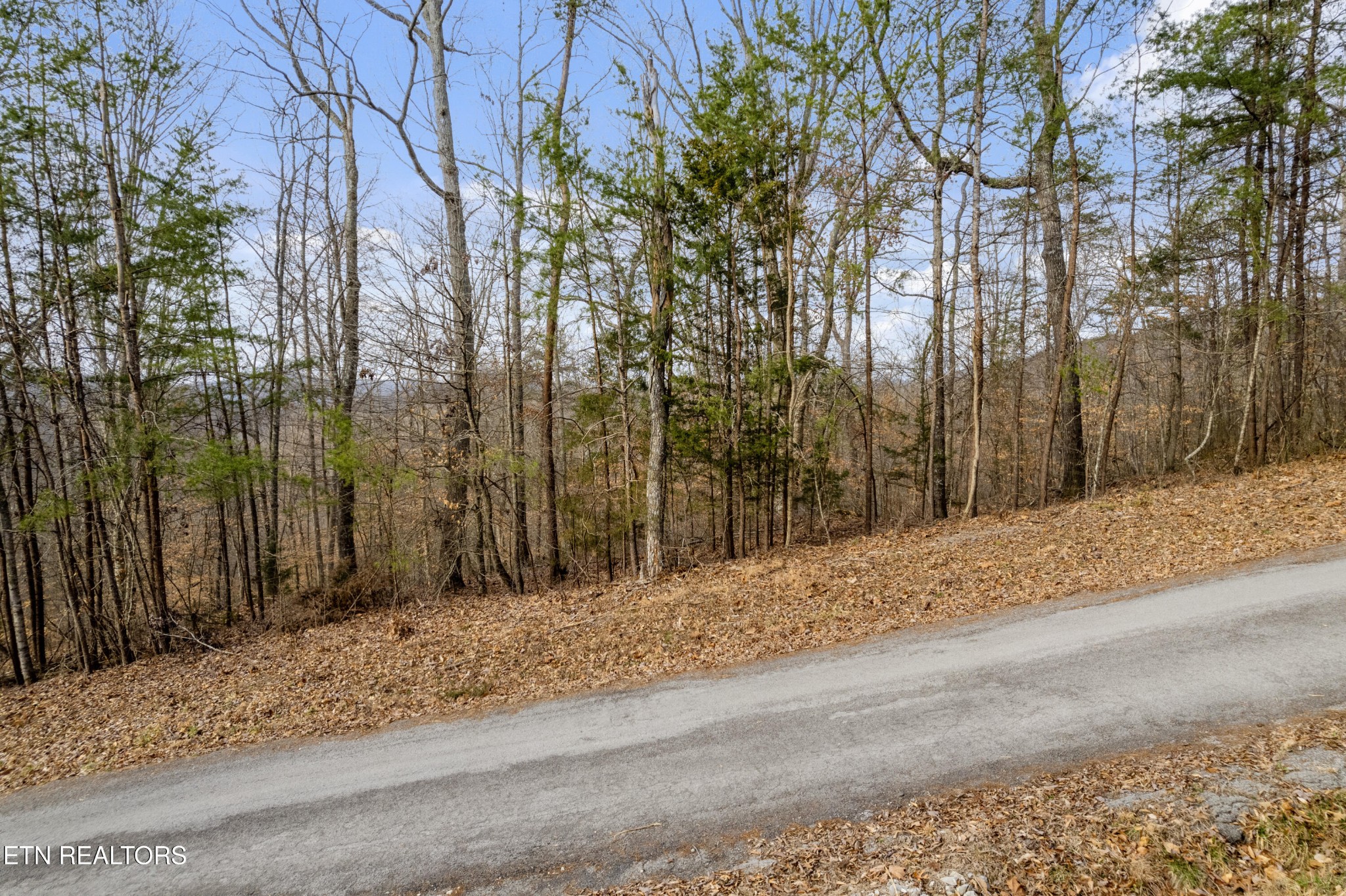 45 Walleye Point Sharps Chapel, TN 37866 - Photo 11 of 29 a view of a backyard of the house