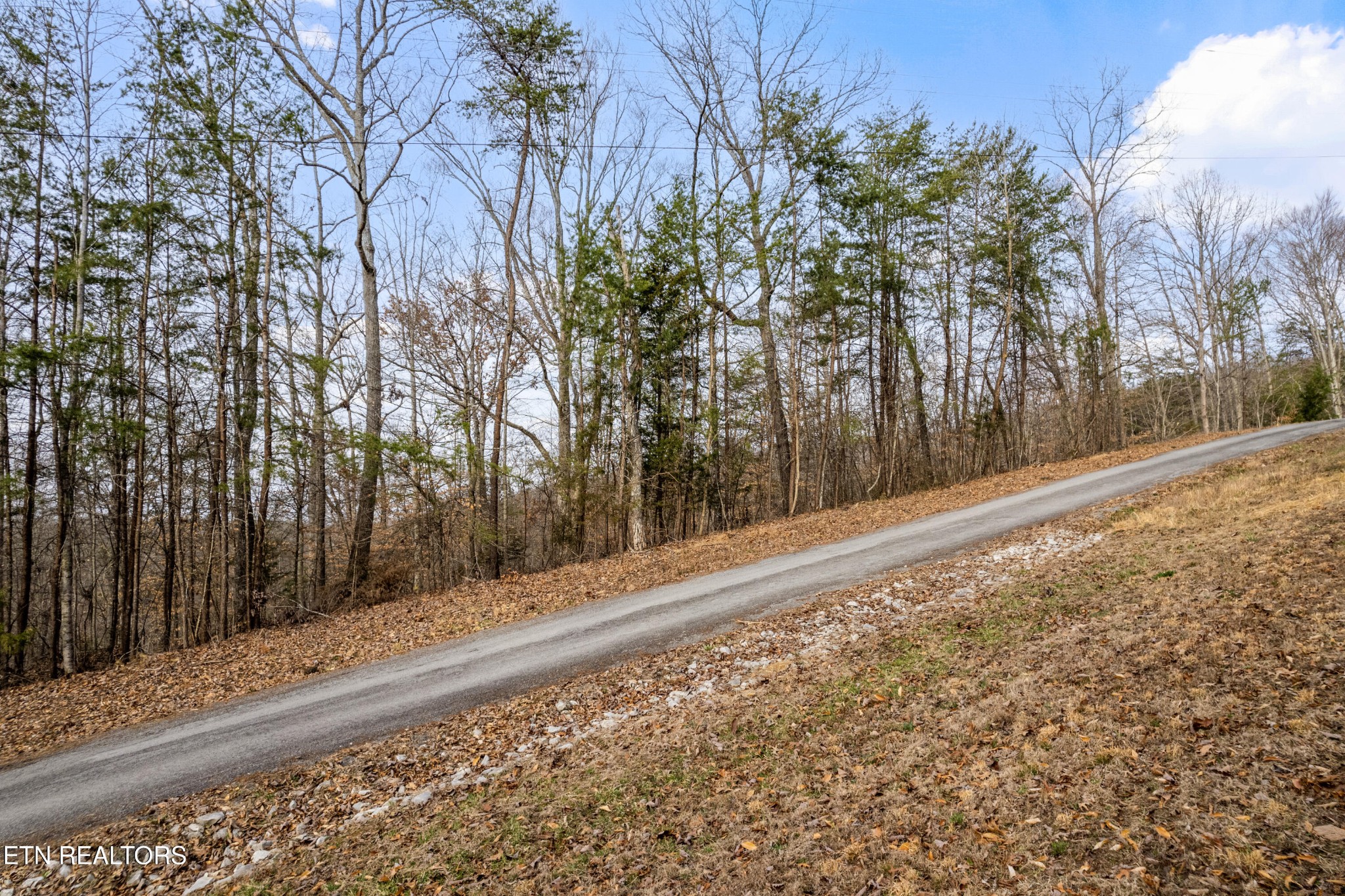 45 Walleye Point Sharps Chapel, TN 37866 - Photo 28 of 29 a view of a yard with trees