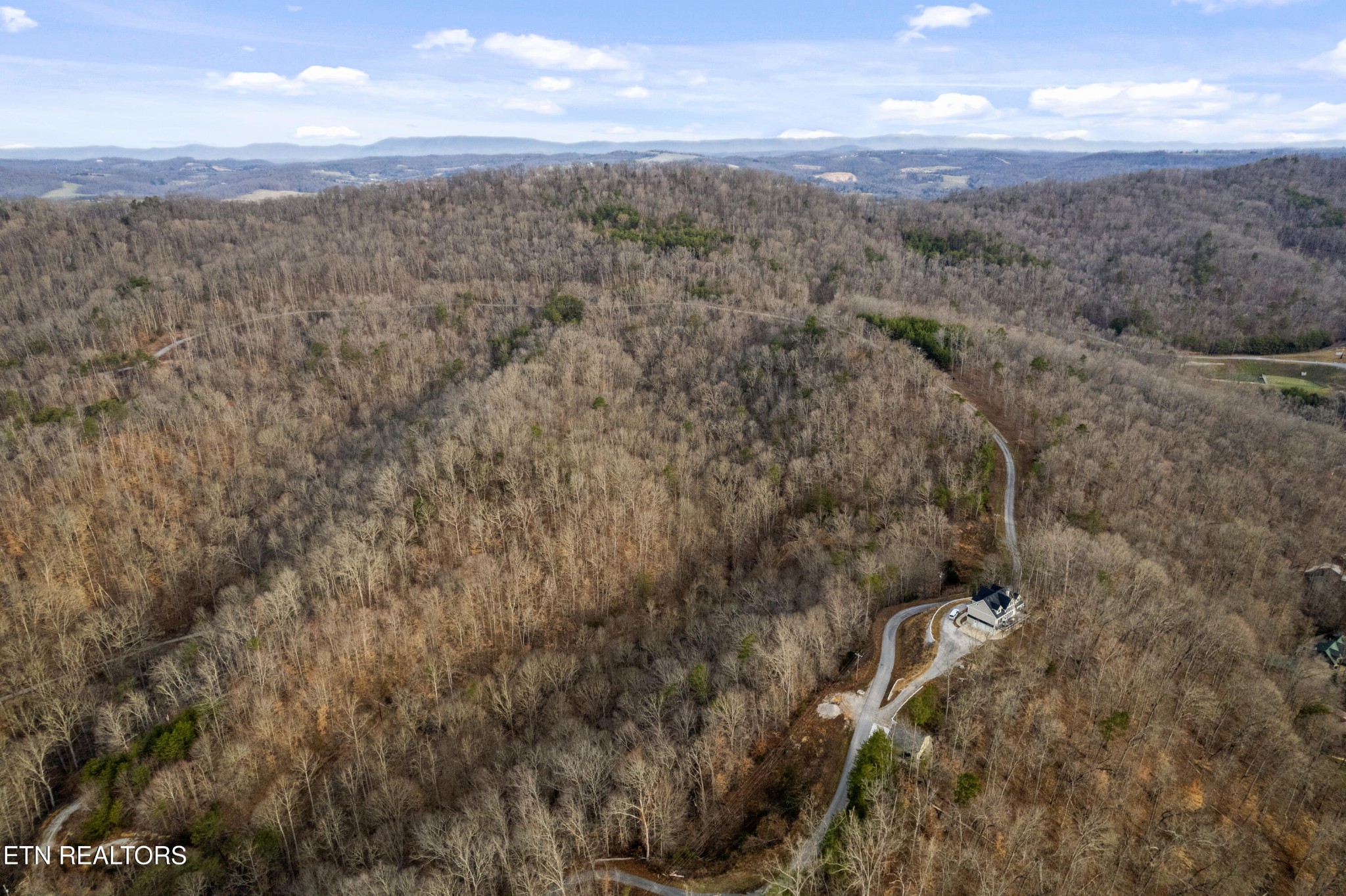 45 Walleye Point Sharps Chapel, TN 37866 - Photo 7 of 29