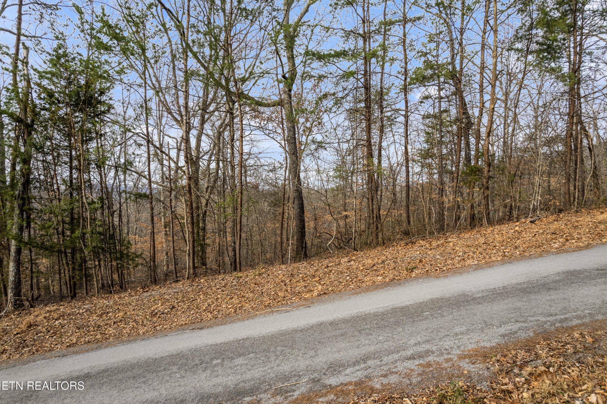 45 Walleye Point Sharps Chapel, TN 37866 - Photo 9 of 29 a view of a backyard of the house