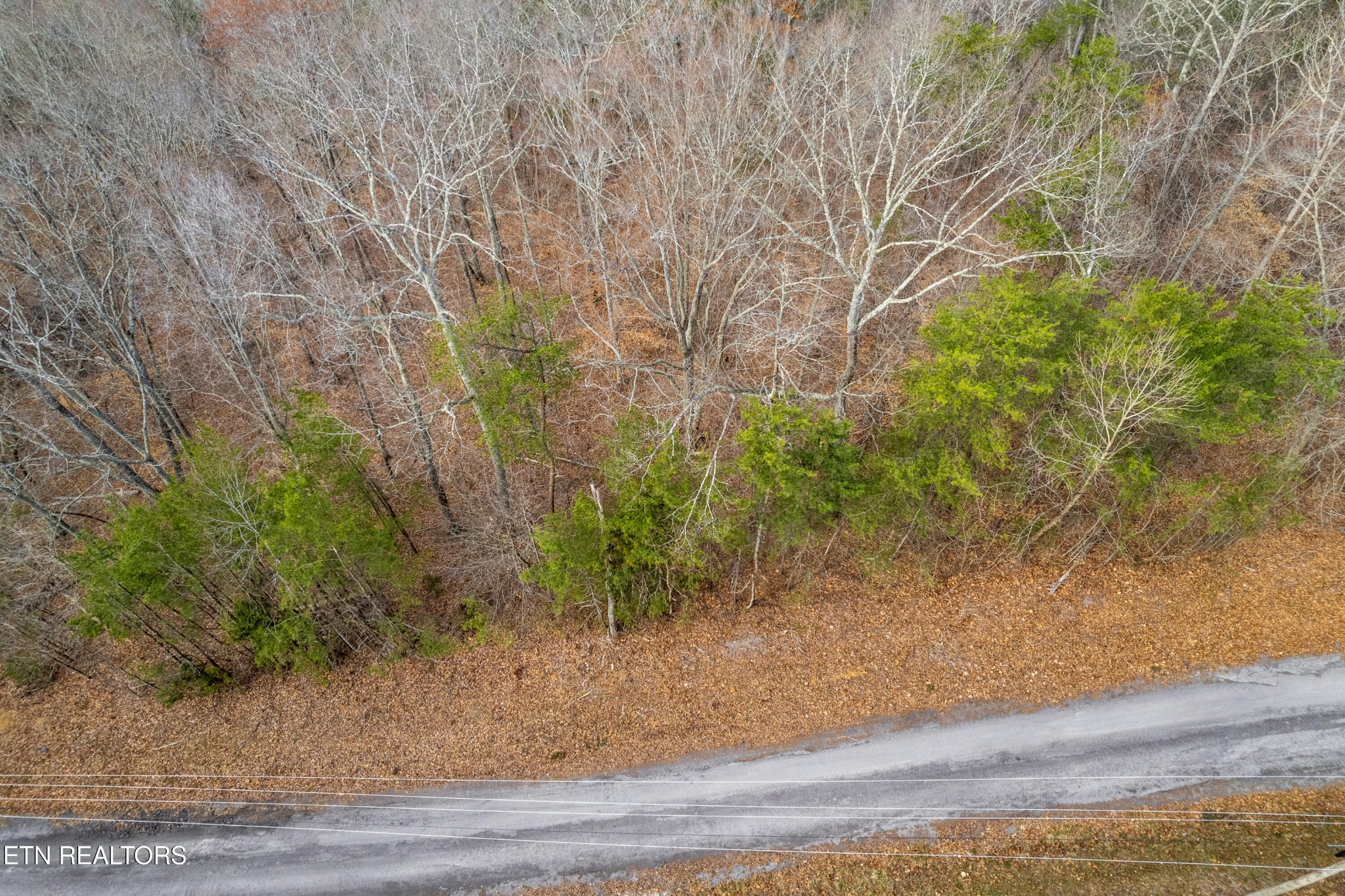 45 Walleye Point Sharps Chapel, TN 37866 - Photo 10 of 29 a view of a yard