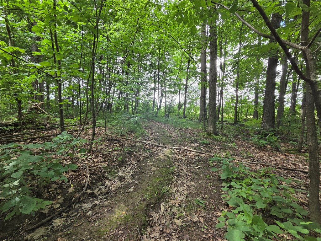 Sutton Road Penn Yan, NY 14527 - Photo 8 of 46 Gallery Image 8