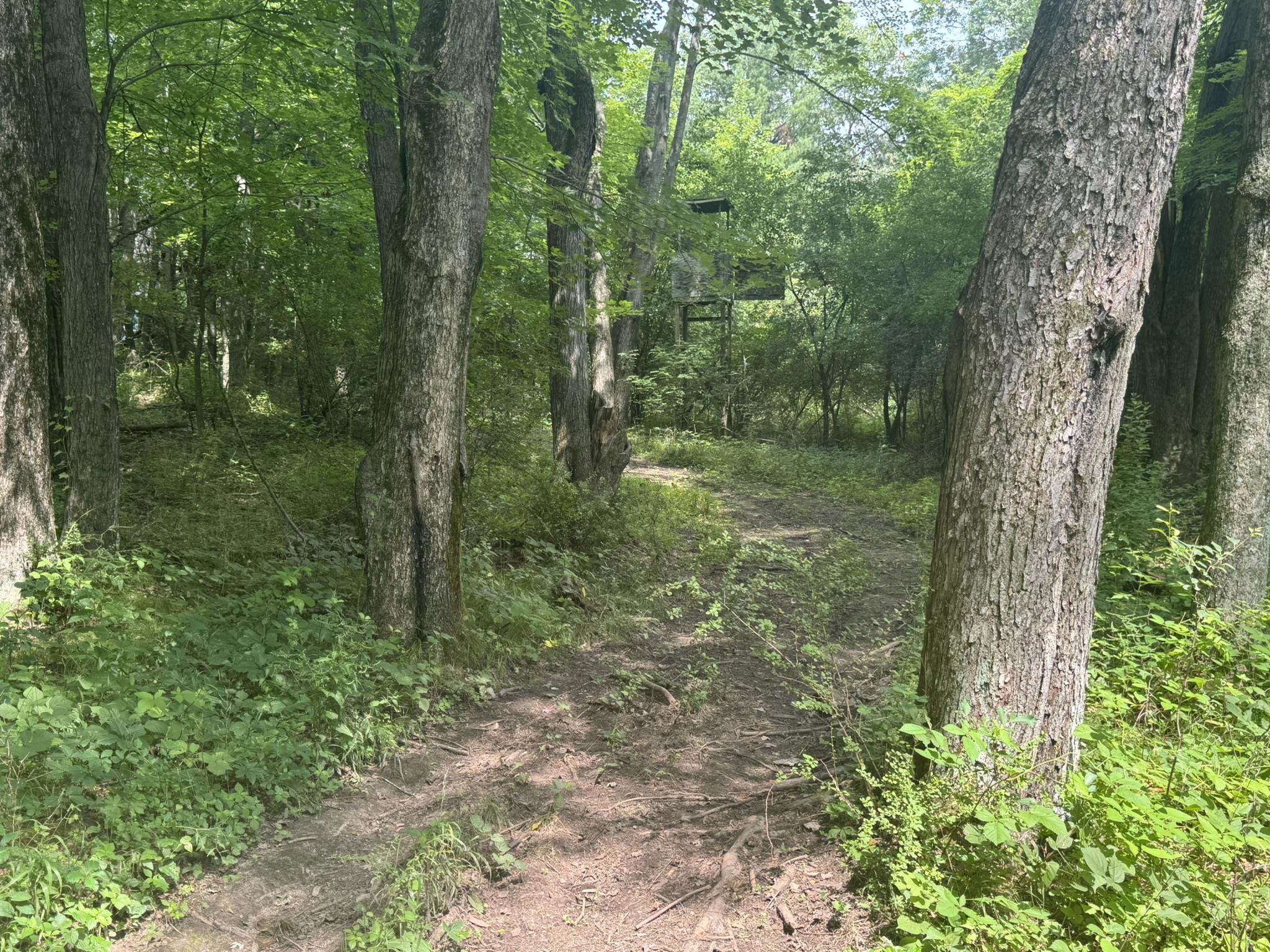 E1317 Larson Road Waupaca, WI 54981 - Photo 51 of 51 Gallery Image 51