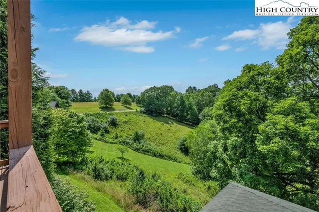 a view of a garden with plants and large trees