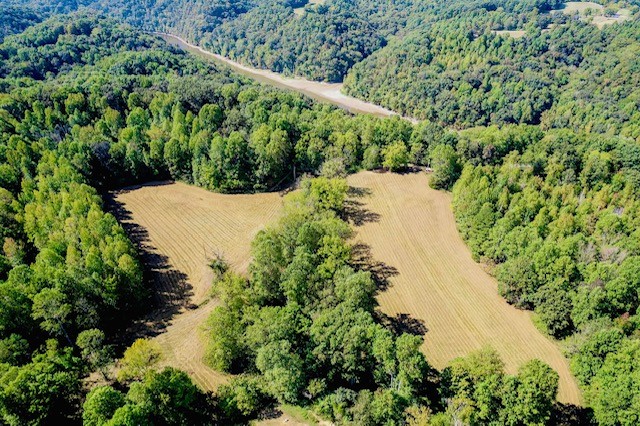 0 Bolestown Loop Alpine, TN 38543 - Photo 11 of 18 a view of a garden with a pathway
