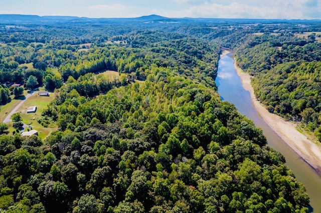 0 Bolestown Loop Alpine, TN 38543 - Photo 6 of 18 a view of a lush green forest with a house