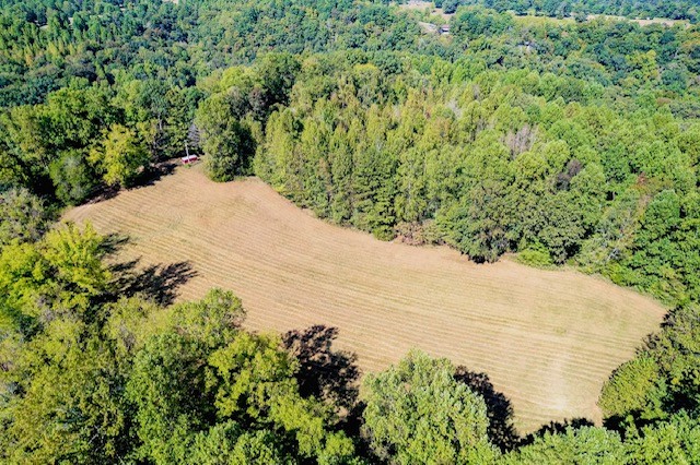 0 Bolestown Loop Alpine, TN 38543 - Photo 7 of 18 a view of a garden with a pathway