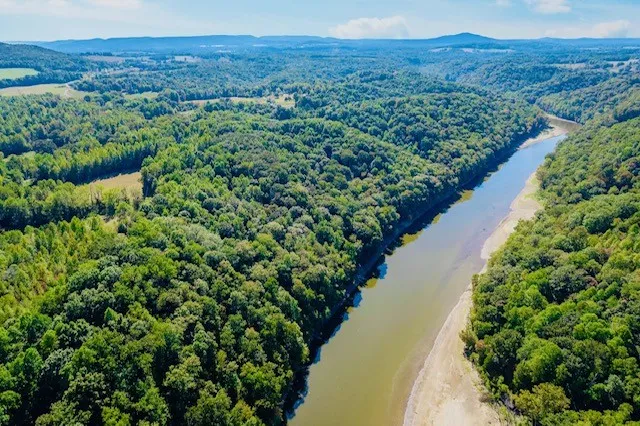 a view of a lush green hillside and a houses