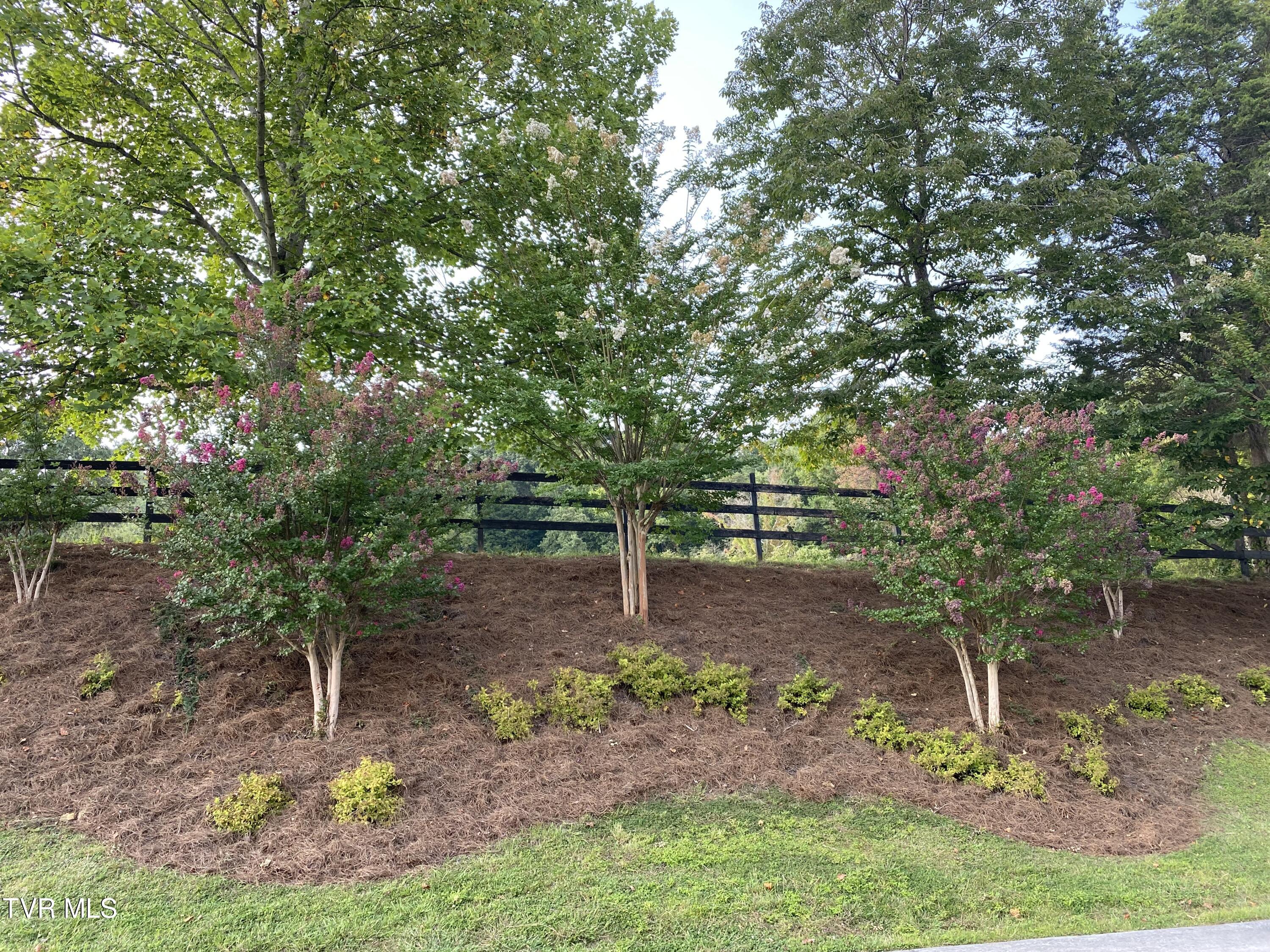 1234 Ridgetop Trail, Unit 10 Kingsport, TN 37664 - Photo 12 of 19 Scenic Drive