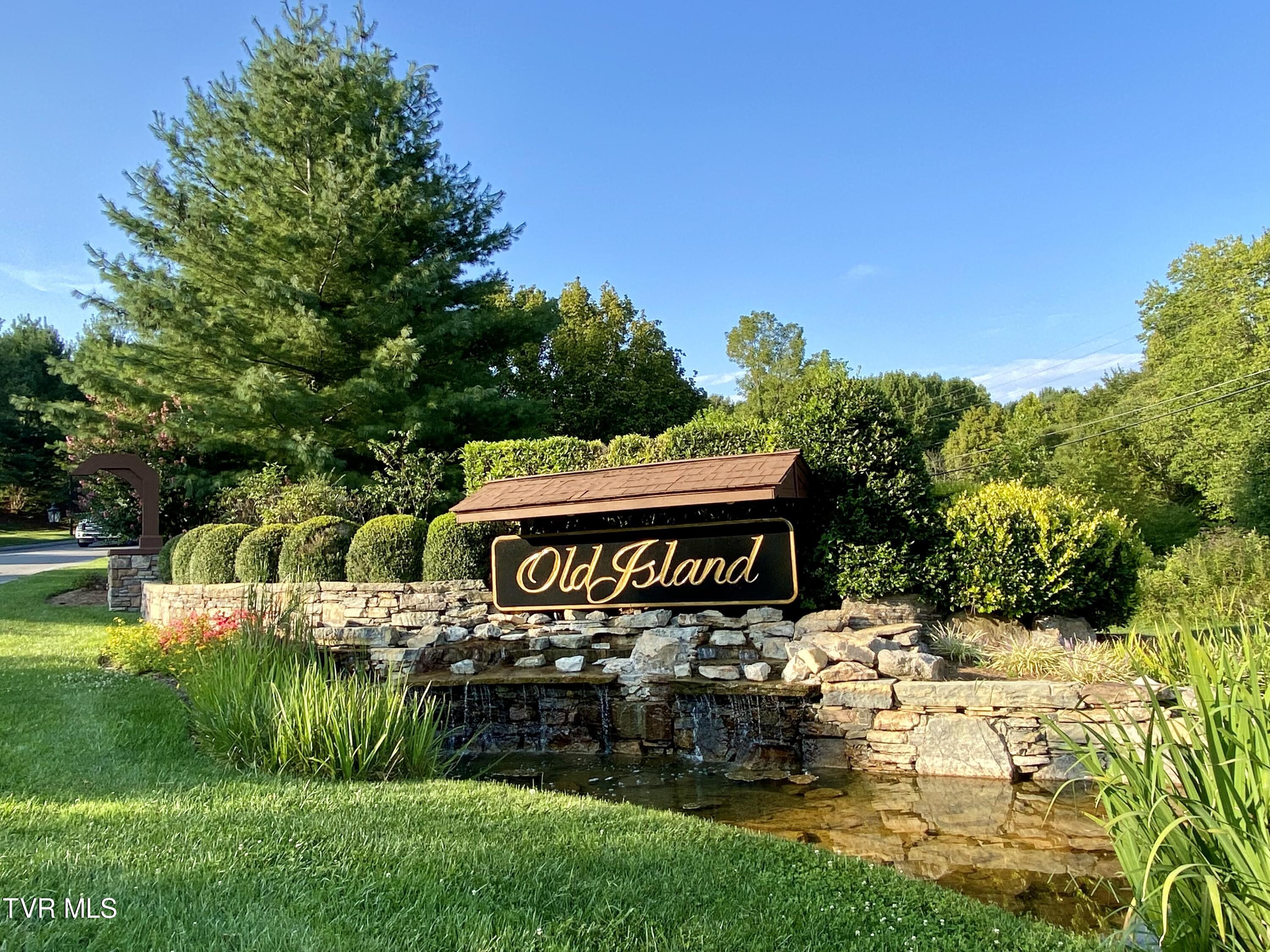 1234 Ridgetop Trail, Unit 10 Kingsport, TN 37664 - Photo 16 of 19 IMG_9894