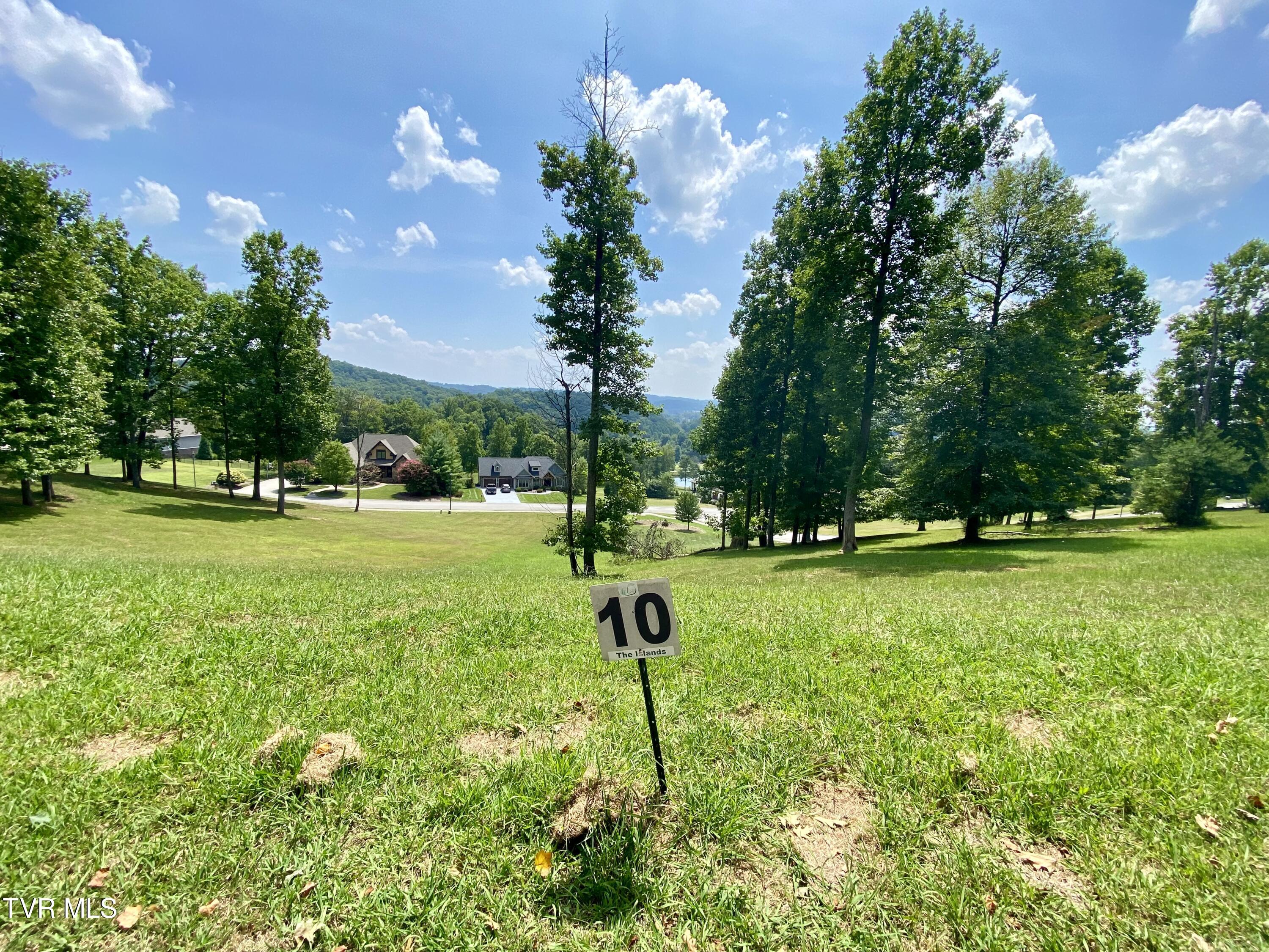 1234 Ridgetop Trail, Unit 10 Kingsport, TN 37664 - Photo 4 of 19 IMG_9780