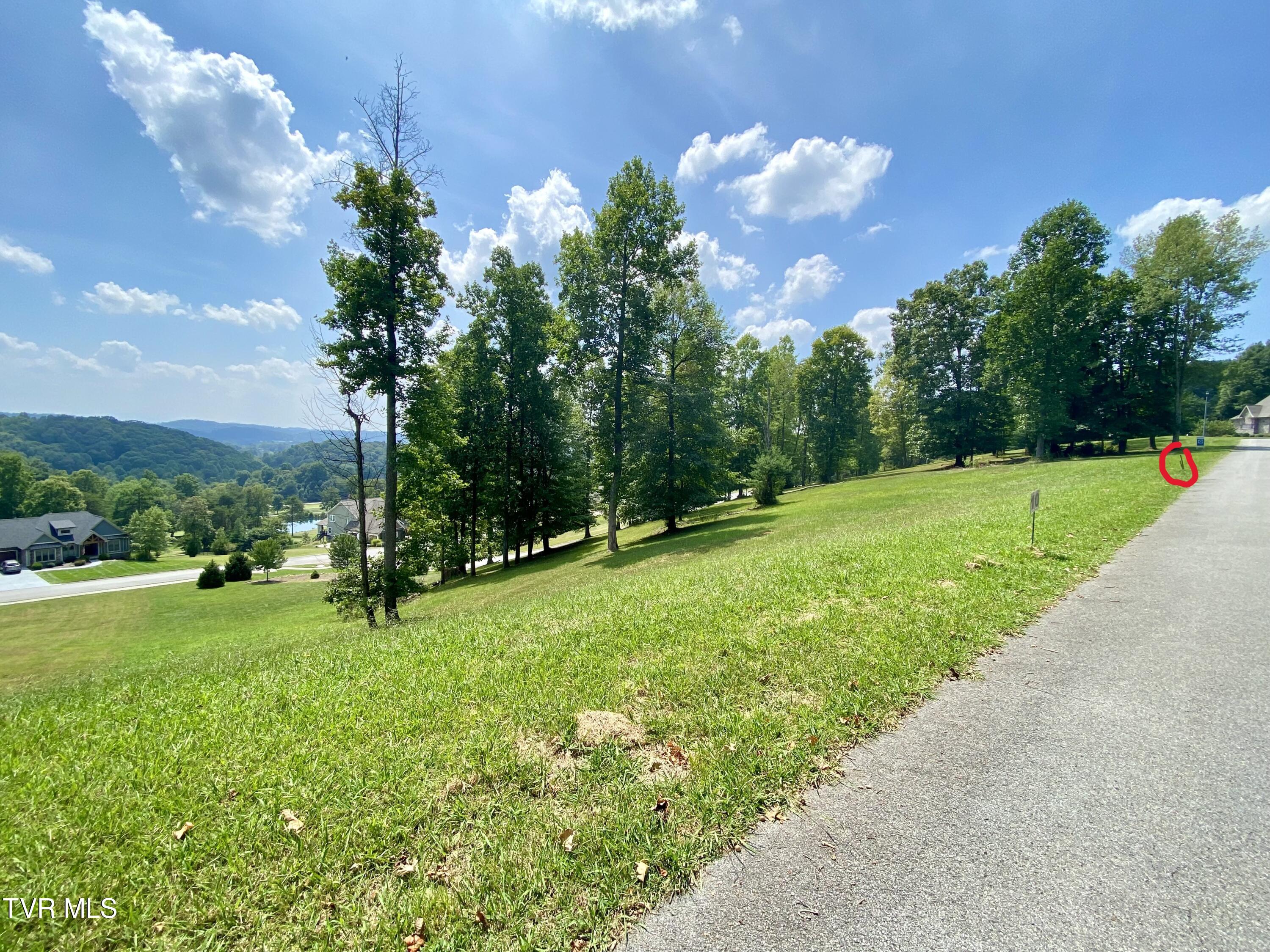 1234 Ridgetop Trail, Unit 10 Kingsport, TN 37664 - Photo 5 of 19 IMG_9779