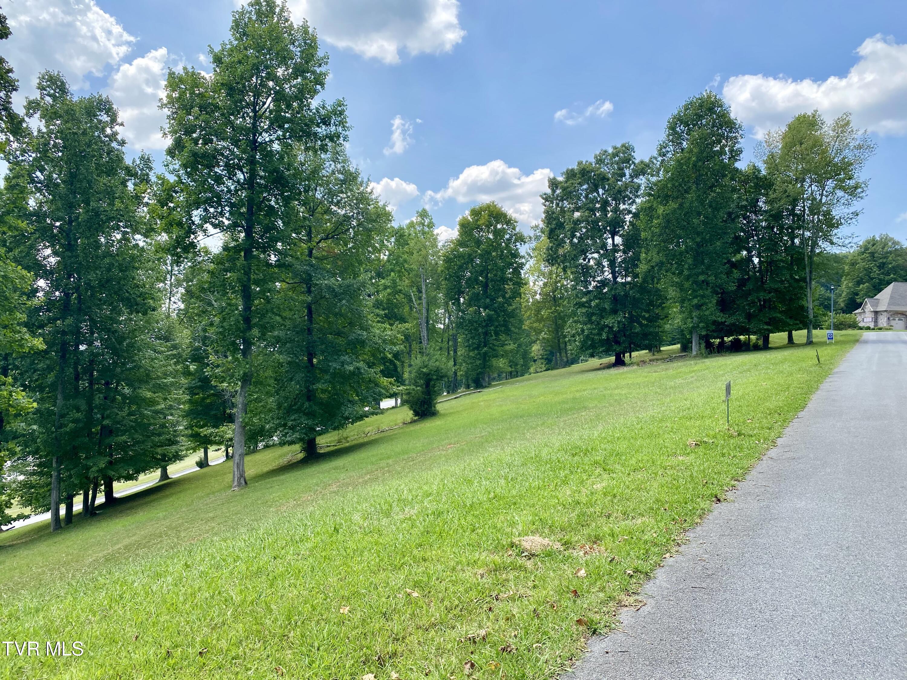 1234 Ridgetop Trail, Unit 10 Kingsport, TN 37664 - Photo 6 of 19 IMG_9786