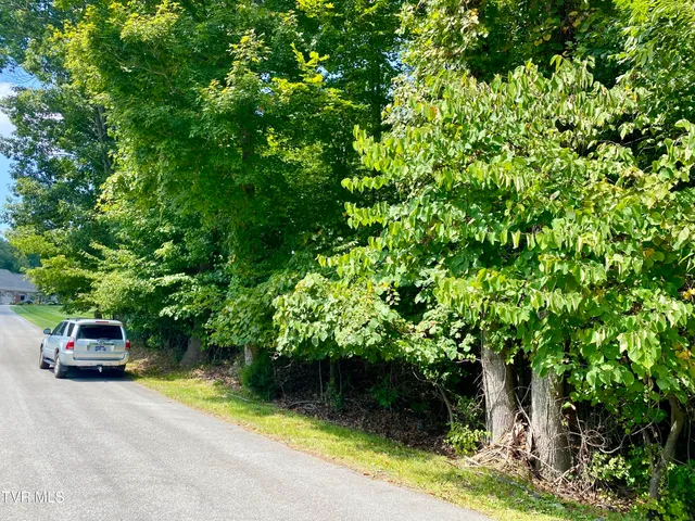 $124,900 | 1234 Ridgetop Trail, Unit 10, Kingsport, TN 37664