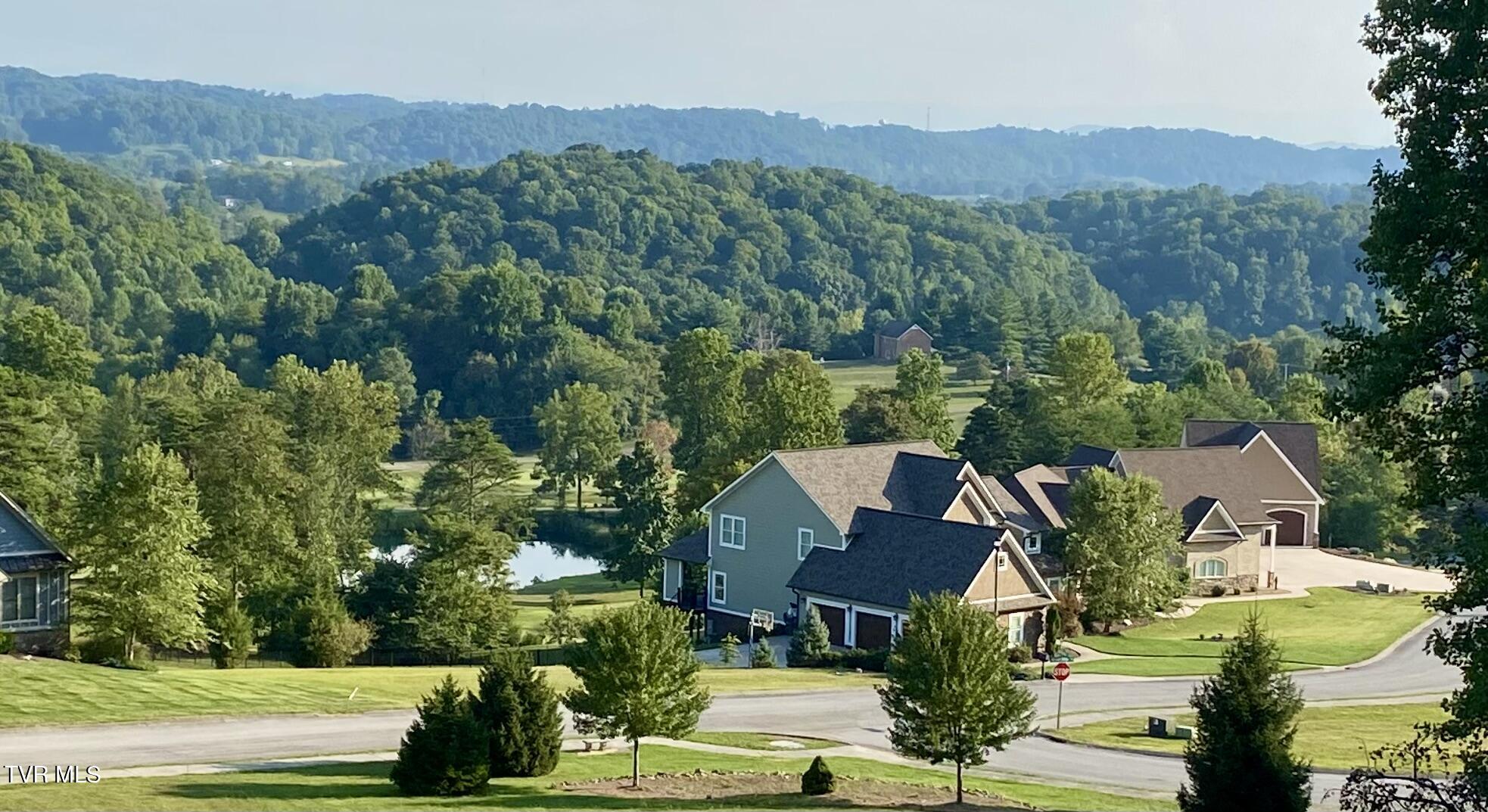 1234 Ridgetop Trail, Unit 10 Kingsport, TN 37664 - Photo 9 of 19 IMG_9876