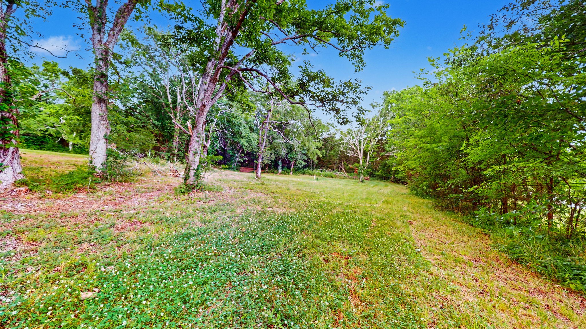 0 Morgan Road Rockvale, TN 37153 - Photo 16 of 24
