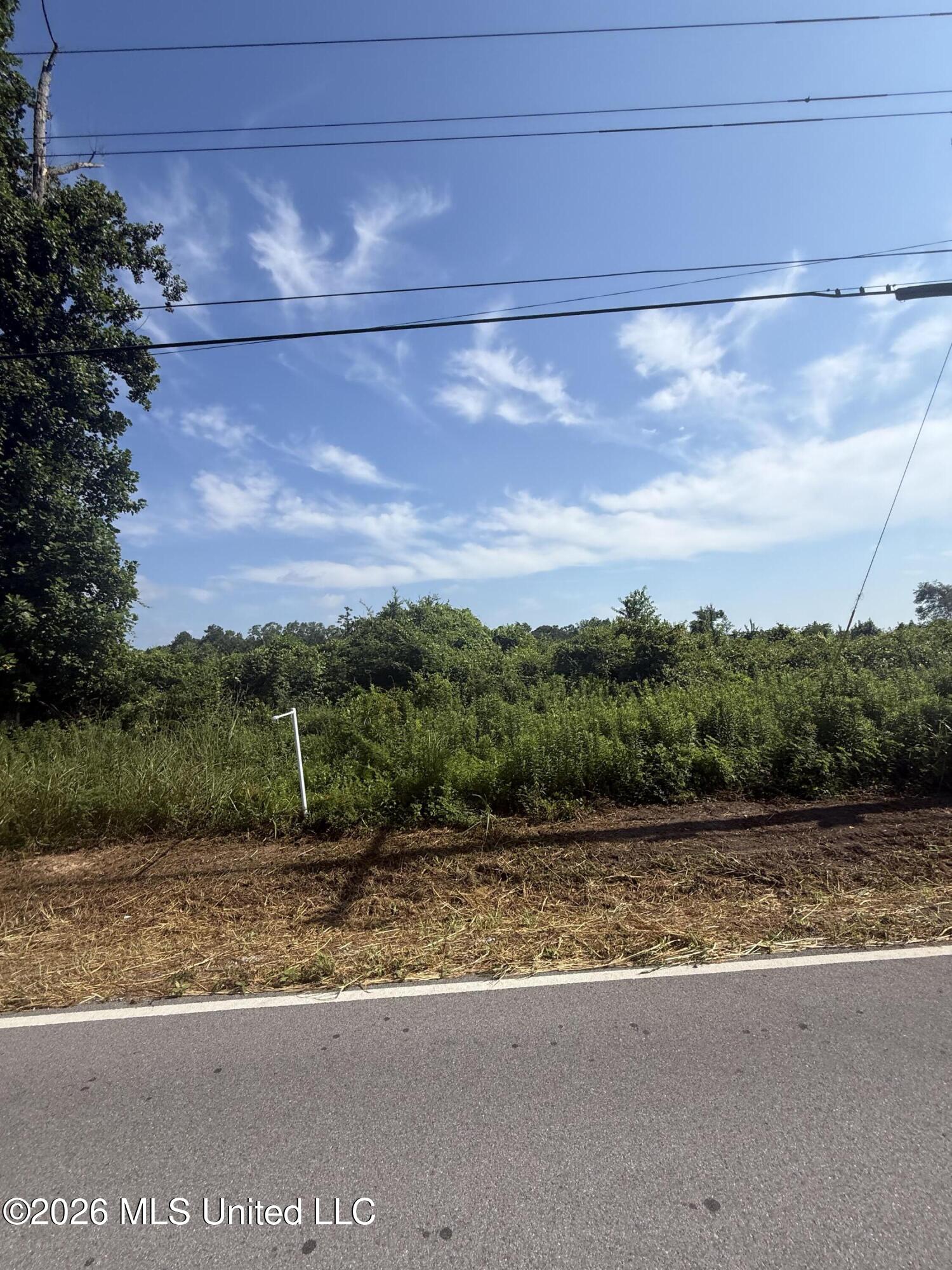 Davis Sawmill Road Lucedale, MS 39452 - Photo 11 of 12 IMG_1130