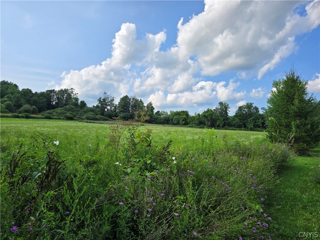Berry Road La Fayette, NY 13084 - Photo 2 of 9 Gallery Image 2