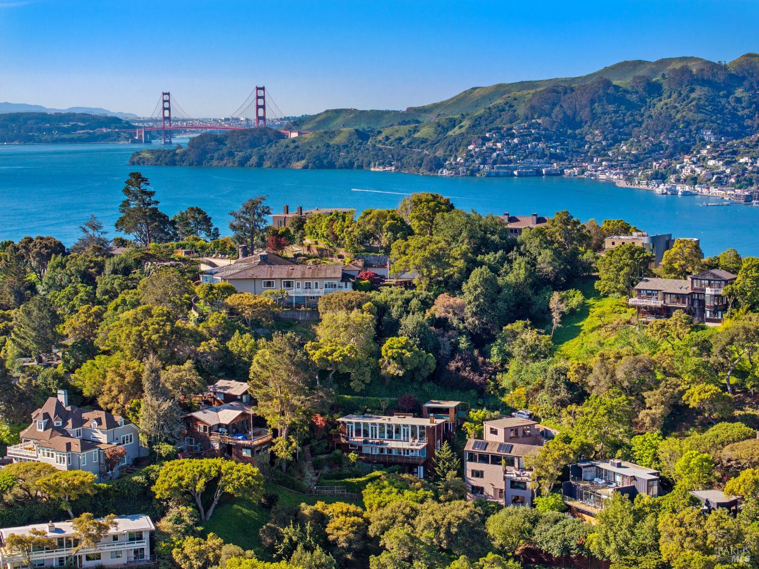 138 Madrona Avenue Belvedere, CA 94920 - Photo 5 of 52