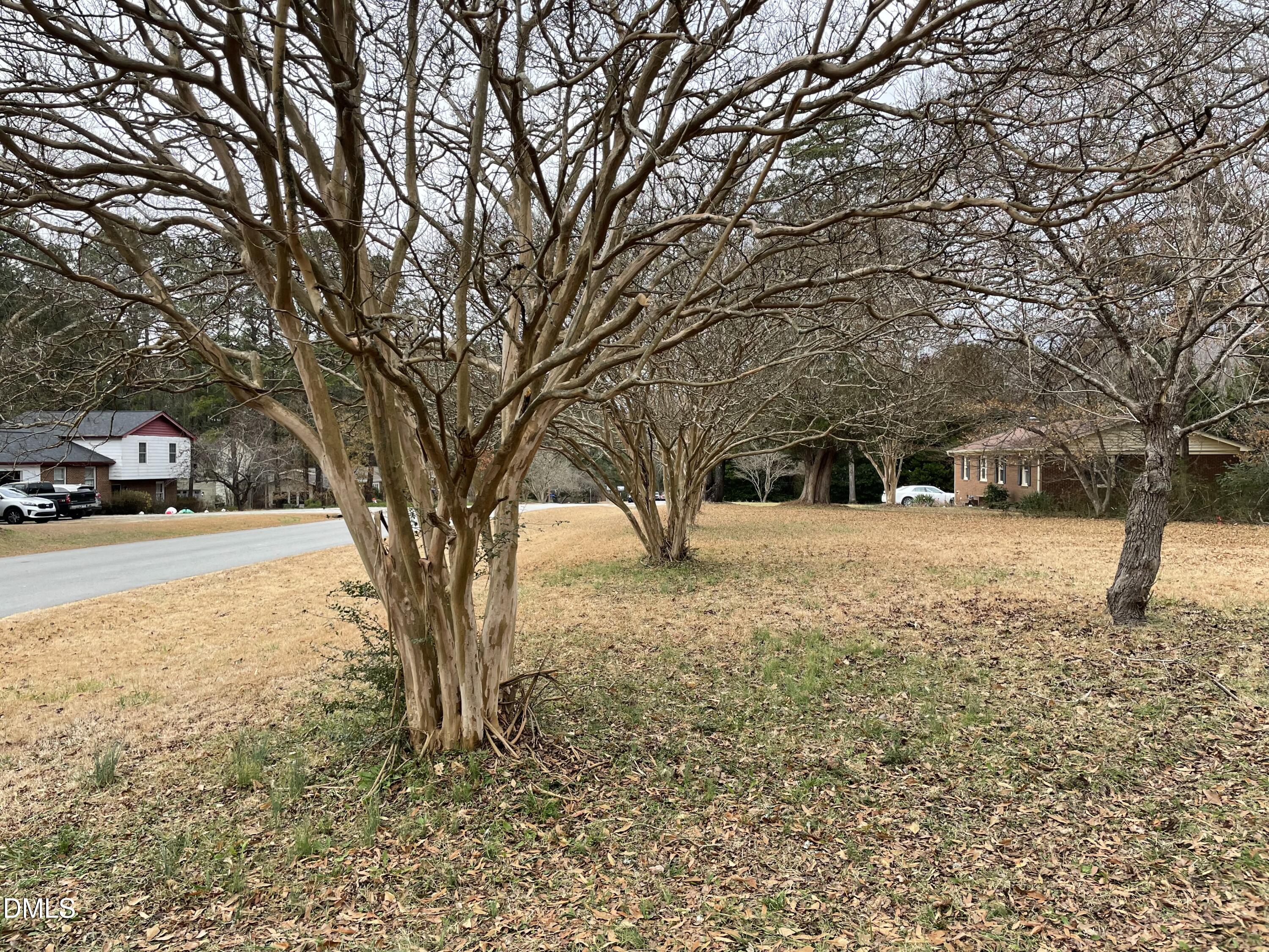 6112 Countryview Lane Raleigh, NC 27606 - Photo 2 of 9 Front yard