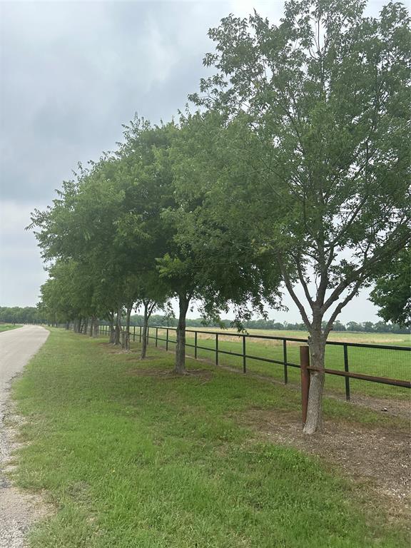 4611 Stout Road Midlothian, TX 76065 - Photo 11 of 11 a view of park with trees