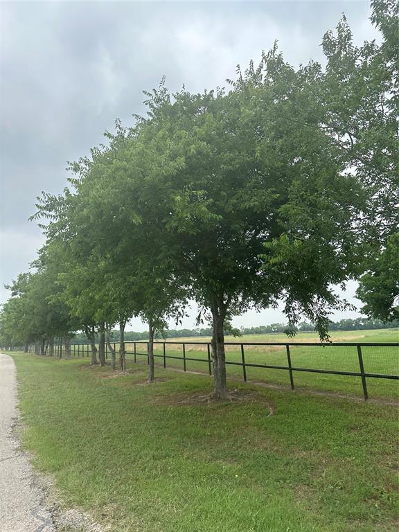 4611 Stout Road Midlothian, TX 76065 - Photo 10 of 11 a view of a park