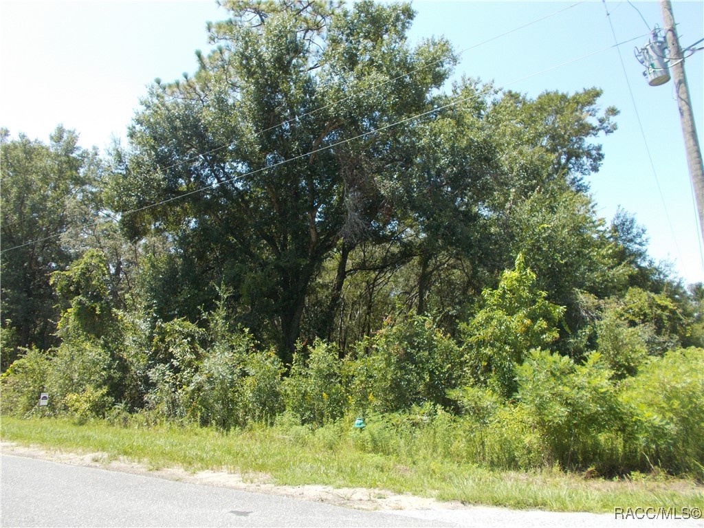 1964 East Celina Street Inverness, FL 34453 - Photo 5 of 9
