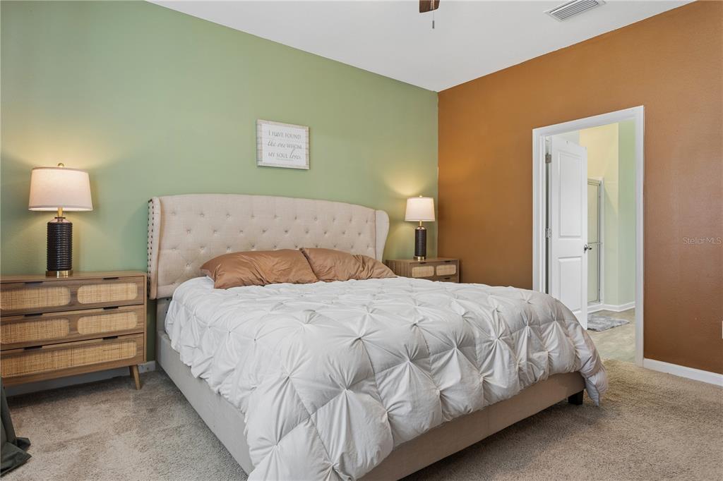 35159 Daisy Meadow Loop Zephyrhills, FL 33541 - Photo 14 of 31