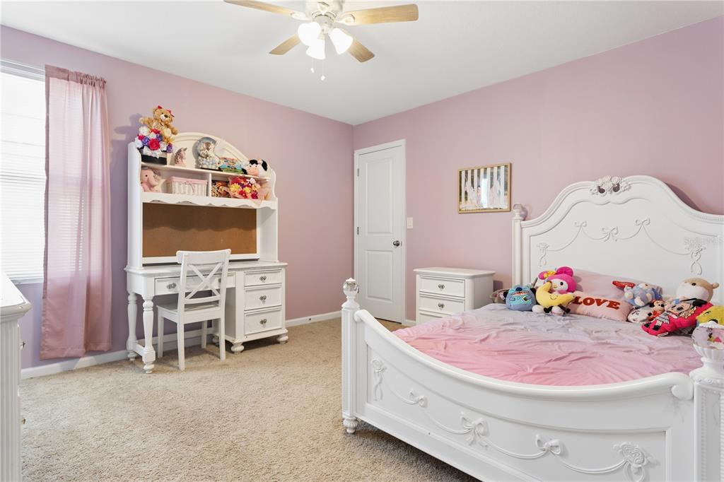 35159 Daisy Meadow Loop Zephyrhills, FL 33541 - Photo 17 of 31