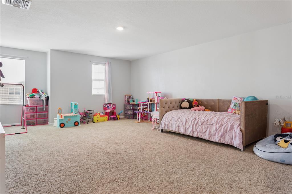 35159 Daisy Meadow Loop Zephyrhills, FL 33541 - Photo 19 of 31