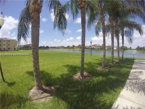 a view of a yard with palm trees