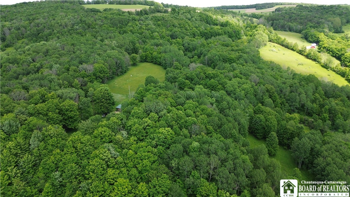 1471 Loomis Road Rexville, NY 14877 - Photo 8 of 50