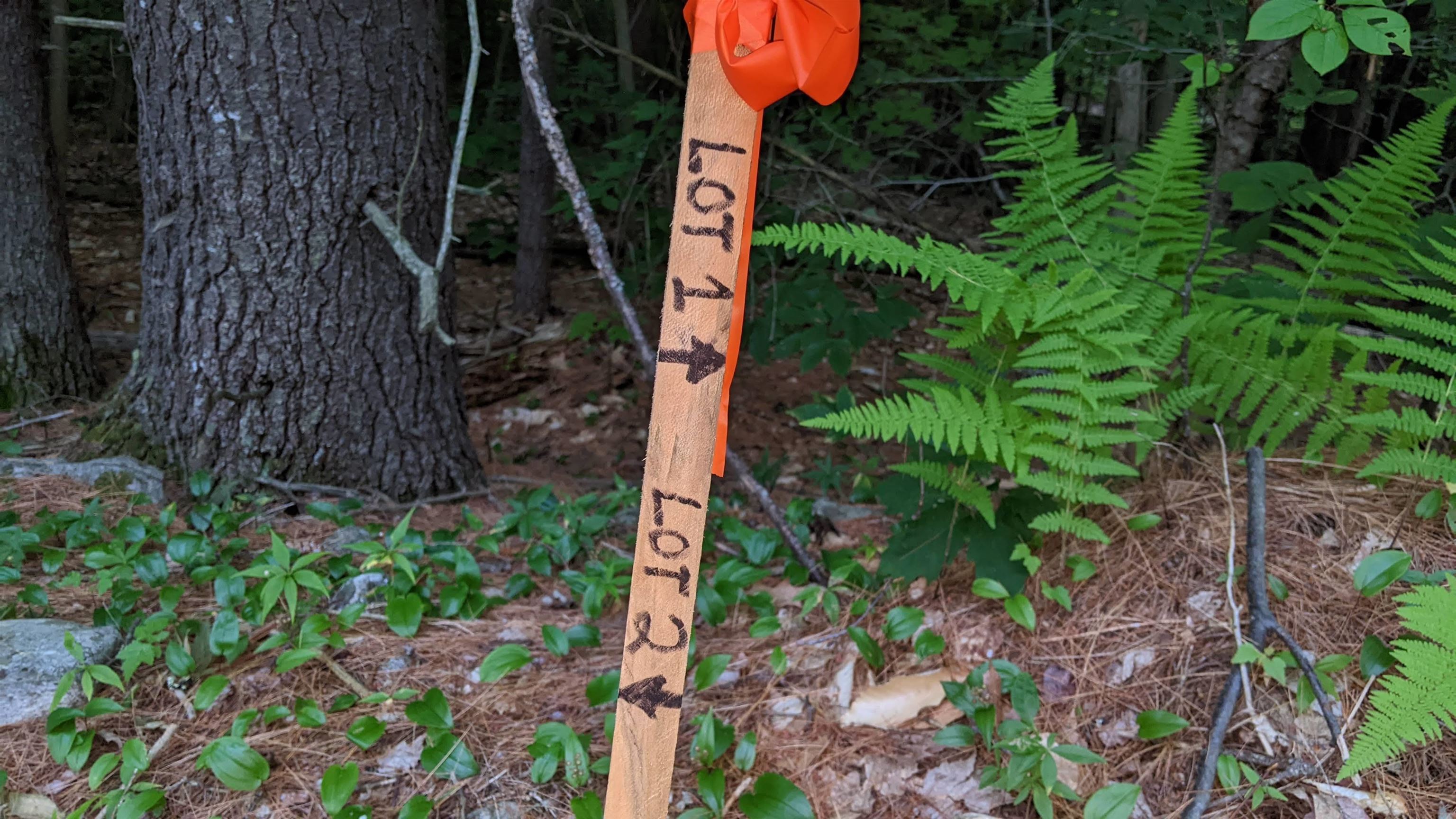 256-l 11-2 Old Bay Road, Unit 2 New Durham, NH 03855 - Photo 5 of 11 Gallery Image 5